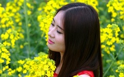 国产亚洲精品久久久久久线投注